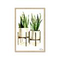 Picture of House Plants II  _GroupedProduct_Rectangle_Portrait_Framed_Matted_
