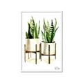 Picture of House Plants II  _GroupedProduct_Rectangle_Portrait_Framed_Matted_