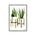 Picture of House Plants II  _GroupedProduct_Rectangle_Portrait_Framed_Matted_