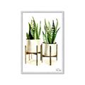 Picture of House Plants II  _GroupedProduct_Rectangle_Portrait_Framed_Matted_