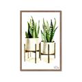 Picture of House Plants II  _GroupedProduct_Rectangle_Portrait_Framed_Matted_