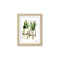 Picture of House Plants II  _GroupedProduct_Rectangle_Portrait_Framed_Matted_