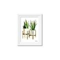 Picture of House Plants II  _GroupedProduct_Rectangle_Portrait_Framed_Matted_