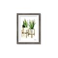 Picture of House Plants II  _GroupedProduct_Rectangle_Portrait_Framed_Matted_