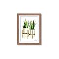Picture of House Plants II  _GroupedProduct_Rectangle_Portrait_Framed_Matted_