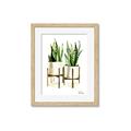 Picture of House Plants II  _GroupedProduct_Rectangle_Portrait_Framed_Matted_