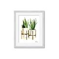 Picture of House Plants II  _GroupedProduct_Rectangle_Portrait_Framed_Matted_