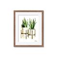 Picture of House Plants II  _GroupedProduct_Rectangle_Portrait_Framed_Matted_