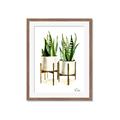 Picture of House Plants II  _GroupedProduct_Rectangle_Portrait_Framed_Matted_