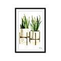 Picture of House Plants II  _GroupedProduct_Rectangle_Portrait_Framed_Matted_