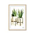 Picture of House Plants II  _GroupedProduct_Rectangle_Portrait_Framed_Matted_