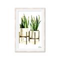 Picture of House Plants II  _GroupedProduct_Rectangle_Portrait_Framed_Matted_
