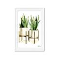 Picture of House Plants II  _GroupedProduct_Rectangle_Portrait_Framed_Matted_