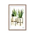 Picture of House Plants II  _GroupedProduct_Rectangle_Portrait_Framed_Matted_