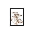 Picture of Angelica Plant _GroupedProduct_Rectangle_Portrait_Framed_Matted_