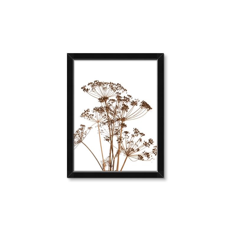 Picture of Angelica Plant _GroupedProduct_Rectangle_Portrait_Framed_Matted_
