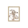 Picture of Angelica Plant _GroupedProduct_Rectangle_Portrait_Framed_Matted_