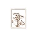 Picture of Angelica Plant _GroupedProduct_Rectangle_Portrait_Framed_Matted_