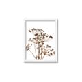 Picture of Angelica Plant _GroupedProduct_Rectangle_Portrait_Framed_Matted_