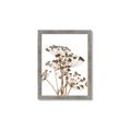 Picture of Angelica Plant _GroupedProduct_Rectangle_Portrait_Framed_Matted_