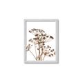 Picture of Angelica Plant _GroupedProduct_Rectangle_Portrait_Framed_Matted_