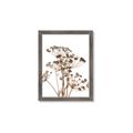 Picture of Angelica Plant _GroupedProduct_Rectangle_Portrait_Framed_Matted_