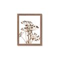 Picture of Angelica Plant _GroupedProduct_Rectangle_Portrait_Framed_Matted_