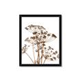 Picture of Angelica Plant _GroupedProduct_Rectangle_Portrait_Framed_Matted_