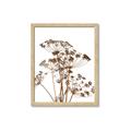 Picture of Angelica Plant _GroupedProduct_Rectangle_Portrait_Framed_Matted_