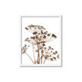 Picture of Angelica Plant _GroupedProduct_Rectangle_Portrait_Framed_Matted_
