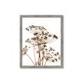 Picture of Angelica Plant _GroupedProduct_Rectangle_Portrait_Framed_Matted_