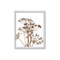 Picture of Angelica Plant _GroupedProduct_Rectangle_Portrait_Framed_Matted_