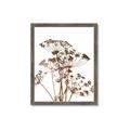 Picture of Angelica Plant _GroupedProduct_Rectangle_Portrait_Framed_Matted_