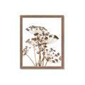 Picture of Angelica Plant _GroupedProduct_Rectangle_Portrait_Framed_Matted_