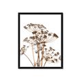 Picture of Angelica Plant _GroupedProduct_Rectangle_Portrait_Framed_Matted_