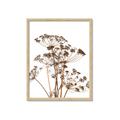 Picture of Angelica Plant _GroupedProduct_Rectangle_Portrait_Framed_Matted_