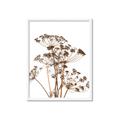 Picture of Angelica Plant _GroupedProduct_Rectangle_Portrait_Framed_Matted_