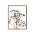 Picture of Angelica Plant _GroupedProduct_Rectangle_Portrait_Framed_Matted_