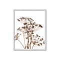 Picture of Angelica Plant _GroupedProduct_Rectangle_Portrait_Framed_Matted_