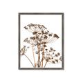 Picture of Angelica Plant _GroupedProduct_Rectangle_Portrait_Framed_Matted_
