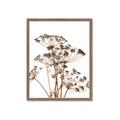 Picture of Angelica Plant _GroupedProduct_Rectangle_Portrait_Framed_Matted_