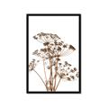 Picture of Angelica Plant _GroupedProduct_Rectangle_Portrait_Framed_Matted_