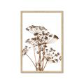 Picture of Angelica Plant _GroupedProduct_Rectangle_Portrait_Framed_Matted_