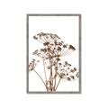 Picture of Angelica Plant _GroupedProduct_Rectangle_Portrait_Framed_Matted_