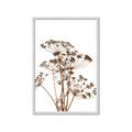 Picture of Angelica Plant _GroupedProduct_Rectangle_Portrait_Framed_Matted_