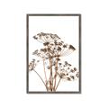 Picture of Angelica Plant _GroupedProduct_Rectangle_Portrait_Framed_Matted_