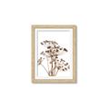 Picture of Angelica Plant _GroupedProduct_Rectangle_Portrait_Framed_Matted_