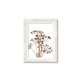 Picture of Angelica Plant _GroupedProduct_Rectangle_Portrait_Framed_Matted_