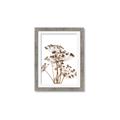 Picture of Angelica Plant _GroupedProduct_Rectangle_Portrait_Framed_Matted_