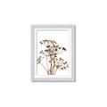 Picture of Angelica Plant _GroupedProduct_Rectangle_Portrait_Framed_Matted_